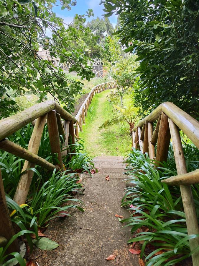 Quinta' Home Ribeira da Janela Luaran gambar